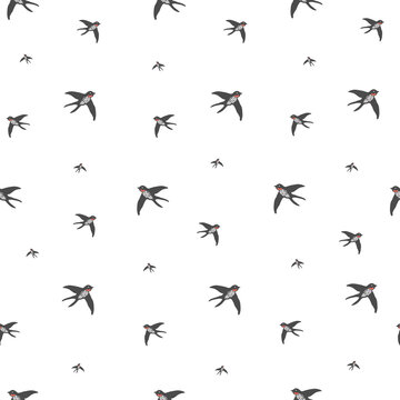 Flying swallows. Pattern seamless with vector illustrations and bird theme
