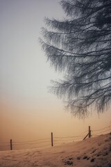 Winterliche Morgendämmerung