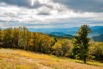 Brilliant Fall Colors in Shenandoah National Park Virginia USA, Virginia