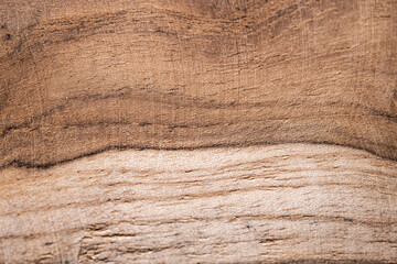 Closeup texture of teak wood board. 