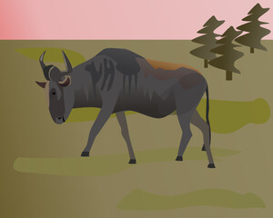 illustration of wildebeest grazing in the field
