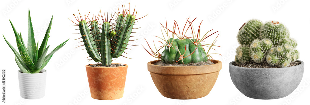 Poster set of cacti plants in pots isolated on transparent background. 3d render.