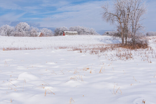 rural winter scene of snow covered field and barn on horizon surrounded by frosty trees 