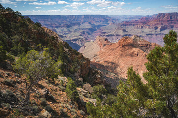 clear view into grand canyon national park