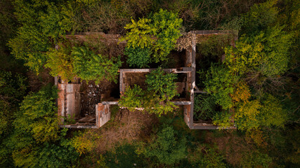 ruiny zamku pośrodku lasu z drona  © Ignacy