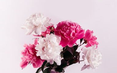 Naklejka na ściany i meble Beautiful bouquet of pink and white Peonies. Floral spring seasonal wallpaper. Close up photography softfocused peony.