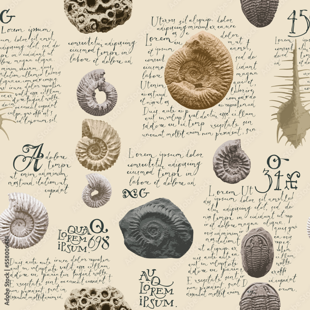 Poster vector seamless pattern background with photo of ancient ammonite shells and trilobites and text lor