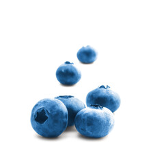 Blueberry. Fresh berries isolated on white background.