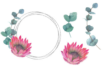 Hand painted watercolor magenta protea flowers and eucalyptus frame with silver lines and set of elements