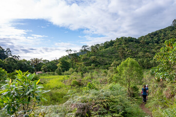 Serra da Bocaina National Park. Pedra da Macela site and several trails for travelers.