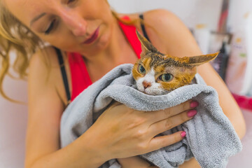 Picture of a woman holding a cat in a grey blanket and looking at it. Calm cat. Medium shot. High...