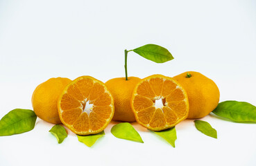 Close-up footage of orange and tangerine fruit on white background.