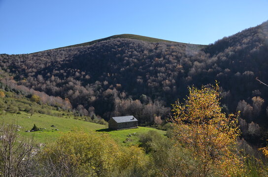caba&ntilde;a de brego