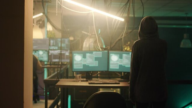 Team of people applauding female hacker about ransomware success, celebrating cryptojacking achievement late at night. Thieves feeling cheerful about successfully stealing information.