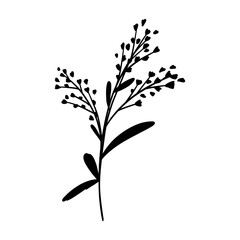 Silhouette Wild Flower Branch. Floral Illustration. Hand drawn black meadow or field elegant herb. Modern botanical rustic greenery.