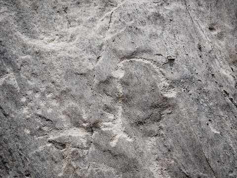 Arte tallado en rocas, figura humanoide, cultura antigua, Petroglifos de huancor, Per&uacute;, Sudam&eacute;rica