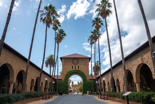 Empty road amidst palm trees and plants leading towards arched built structure with ivy and clock at Stanford University campus with sky in the background