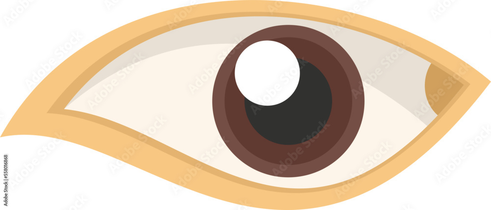 Poster human eye icon flat vector. view look. lens optical isolated