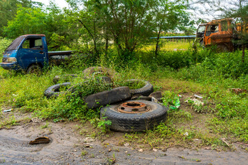 Multiples abandoned big black tires with a lot of plants growing among them with an orange truck and a pick up vehicle in the background