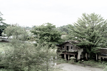 Scenery of a park with an old abandoned wooden house with some trees growing close to it