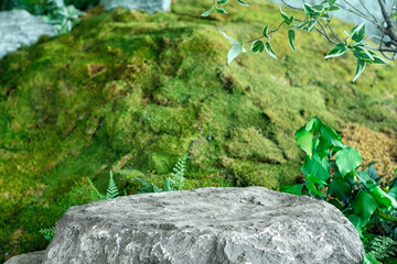 제품 포장을 위한 비어있는 천연석 콘크리트 단상.초록색 잎이 있는...