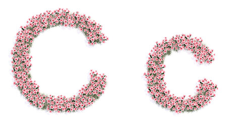 Concept or conceptual set of beautifull blooming lilies bouquets forming the font C. 3d illustration metaphor for education, design and decoration, romance and love, nature, spring or summer.