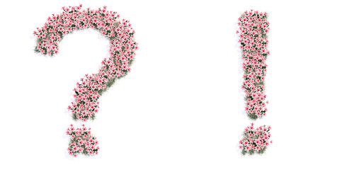 Concept or conceptual set of beautifull blooming lilies bouquets forming the ! and ? signs. 3d illustration metaphor for education, design and decoration, romance and love, nature, spring or summer.