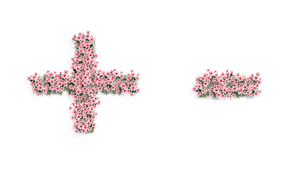 Concept or conceptual set of beautifull blooming lilies bouquets forming the + and - signs. 3d illustration metaphor for education, design and decoration, romance and love, nature, spring or summer.