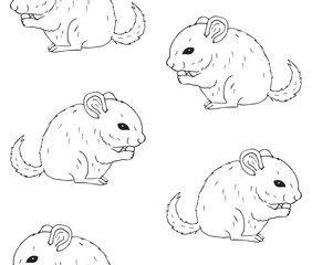 Vector seamless pattern of hand drawn doodle sketch chinchilla isolated on white background