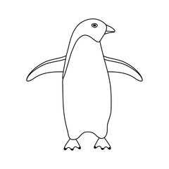 Vector hand drawn flat outline penguin isolated on white background