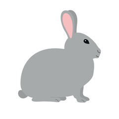 Vector hand drawn flat bunny rabbit isolated on white background