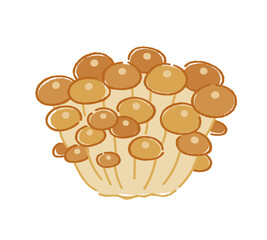 なめこ