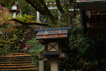 京都市日向大神宮風景