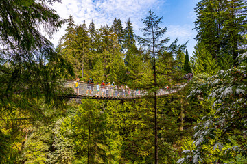 Obraz premium Capilano Bridge Vancouver