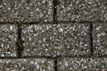 stone wall background