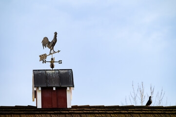 Copper rooster weathervane on a red barn with a pigeon for company, against a blue sky

