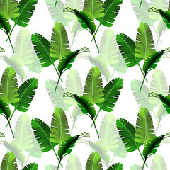 Green Palm leaves seamless pattern. Hand drawn digital pattern. Tropical leaves. Exotic illustration on white background.	