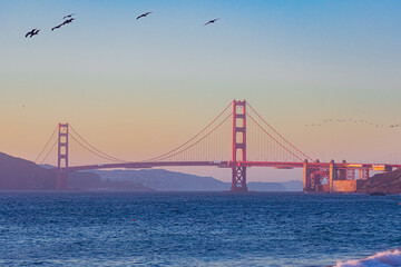 Golden Gate Bridge Landscape