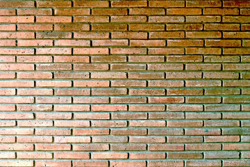 Obraz premium Red (old) brick wall background with green moss on the wall. With copy space. 