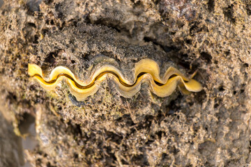 Studying different animals in science lab.