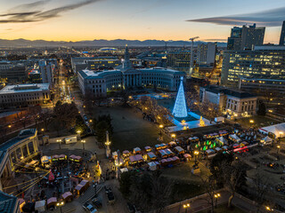 Mile High Tree in Civic Center Park