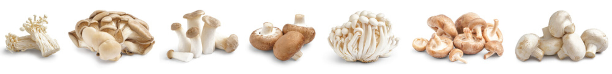 Group of fresh mushrooms on white background
