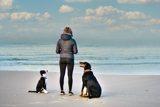 beautiful young girl walking her beauceron and her young border collie on the beach