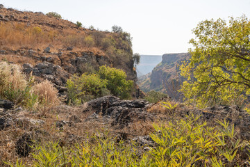 Fototapeta na wymiar A mountain gorge through which the Gamla stream flows on the Dolmen Path in Gamla Nature Reserve, Golan Heights, northern Israel