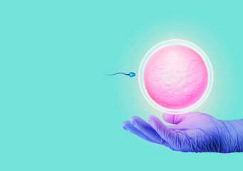 Pregnancy, fertilization of the ovum. natural insemination. Natural fertilization. Active sperm swim to the egg. the hand holds an egg next to a sperm. hand isolated on emerald green background.