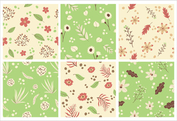 Fototapeta na wymiar Pattern decoration design set with flowers plant