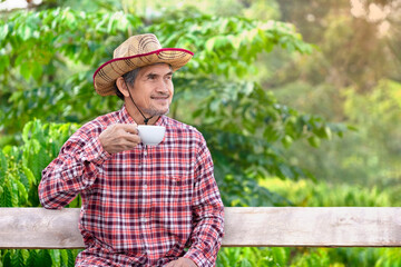 asian senior man business owner sitting in his coffee farm , older adult coffee farmer in checkered shirt relaxing with coffee cup in hand , concept elderly people lifestyle, activity, work, relaxing