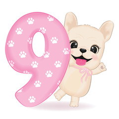 Cute French Bulldog and number 9