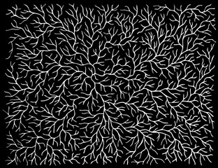 monochrome pattern black and white
