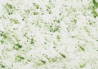 Acrylic paint in grass green dabbed on a sheet of paper